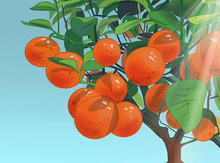 Ilustración digital de un árbol de naranjas