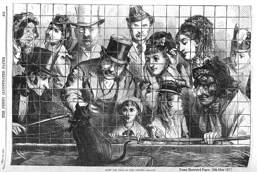 Exposición de Gatos en El Palacio de Cristal en 1871
