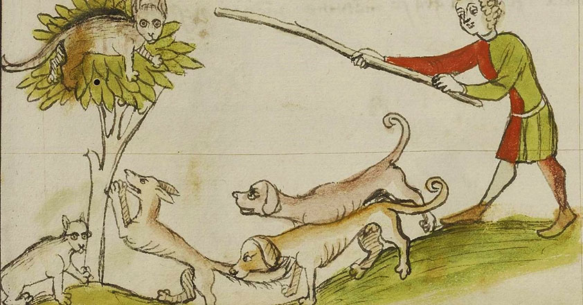 Pintura medieval sobre la persecución de gatos en la Edad Media